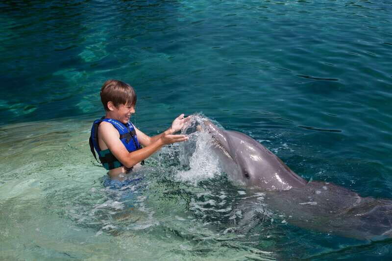 Riviera Maya: Swimming Experience with Dolphins - Safety Rules That Change Your Experience (In a Good Way)