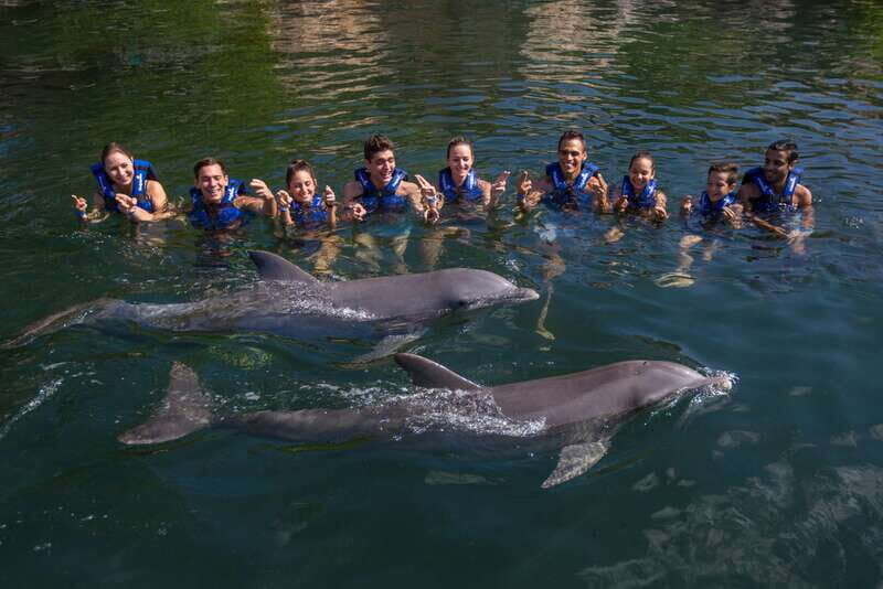 Riviera Maya: Swimming Experience with Dolphins - Price and Value: The $127 Ticket Plus the $50 MXN Tax