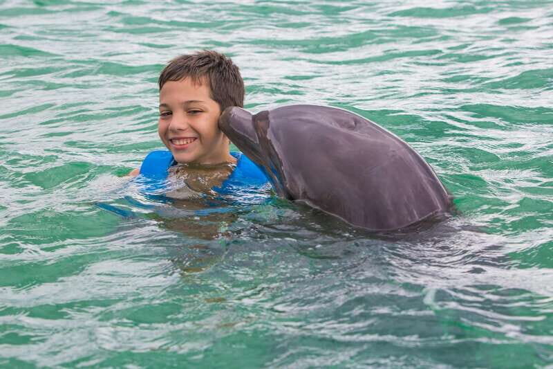 Riviera Maya: Swimming Experience with Dolphins - Where You Meet: Next to Xcaret Park Parking Lot