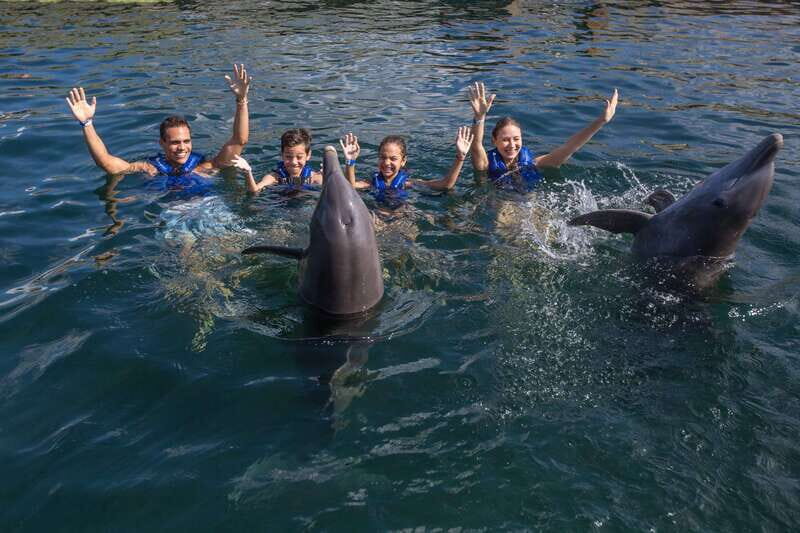 Riviera Maya: Swimming Experience with Dolphins - Who This Dolphin Program Suits Best