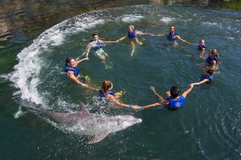 Riviera Maya: Swimming Experience with Dolphins - Quick FAQ for Your Dolphin Day