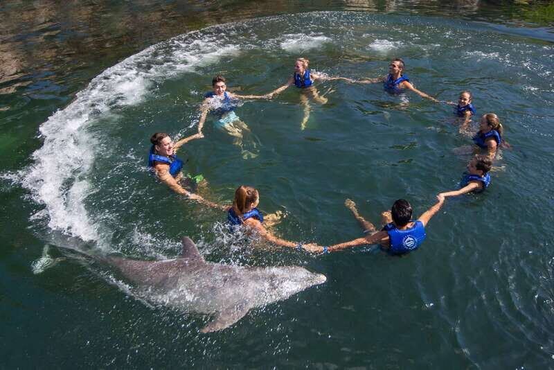 Riviera Maya: Swimming Experience with Dolphins - The Water Program: Your 10 Activities, One Turn at a Time