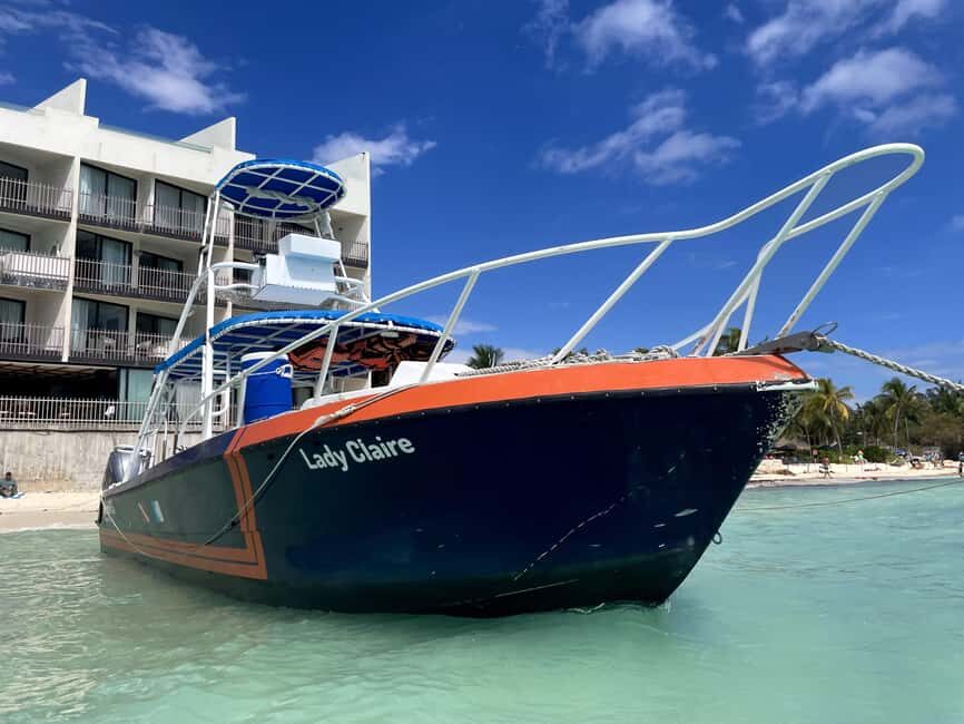 Scuba Dive in Playa del Carmen - 2 Dives (Certified divers) - Marine life you can reasonably expect (and what to watch for)