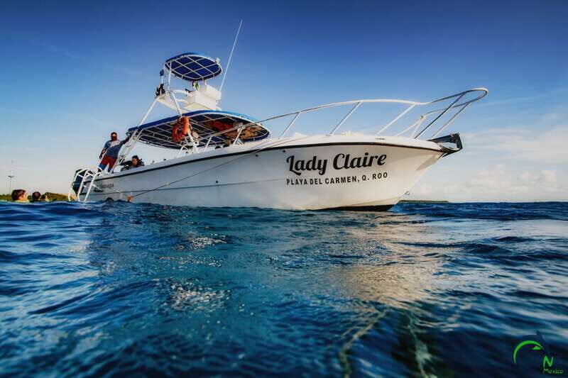 Scuba Dive in Playa del Carmen - 2 Dives (Certified divers) - Price and value at $110: what you pay for, what you don’t