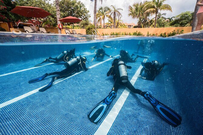 Scuba Diving for Beginners – Tulum Dive Machine - A beginner scuba day built around Casa Cenote calm