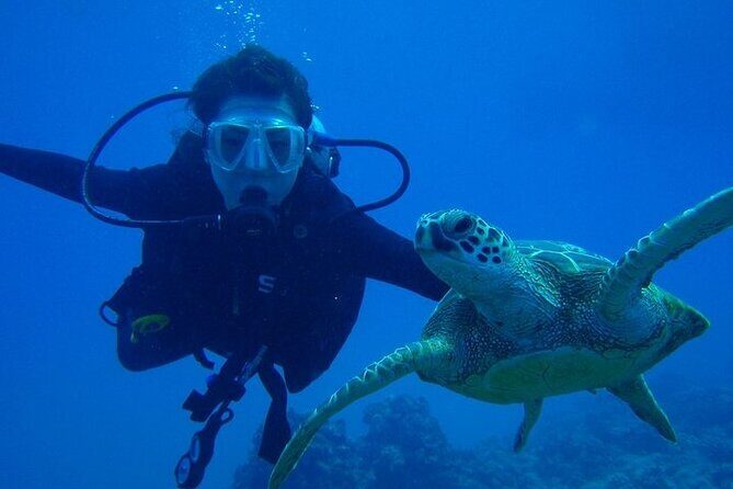 Scuba Referral Dives & Beach Club with Transportation In Riviera Maya - How the referral setup works in Playa del Carmen