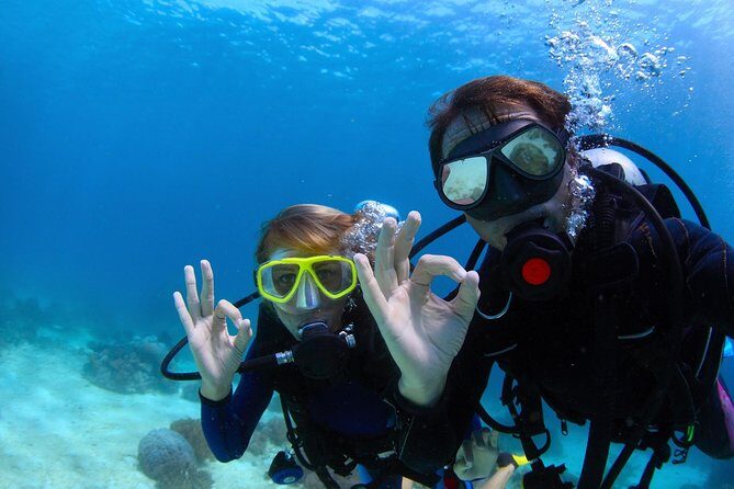 Scuba Referral Dives & Beach Club with Transportation In Riviera Maya - Transportation and money: what’s included vs what costs extra