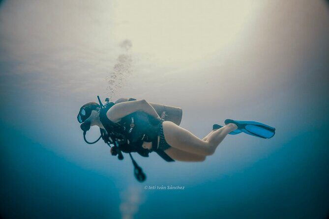Scuba Referral Dives & Beach Club with Transportation In Riviera Maya - Safety rules you should read before you book