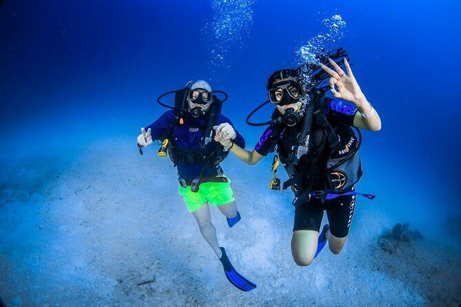 Scuba Referral Dives & Beach Club with Transportation In Riviera Maya - Who this experience suits best (and who should choose something else)