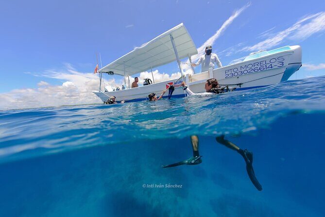 Scuba Referral Dives & Beach Club with Transportation In Riviera Maya - Staff names you may run into, and what they’re praised for