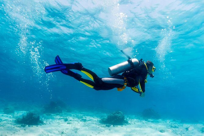 Scuba Referral Dives & Beach Club with Transportation In Riviera Maya - What you actually do: four open-water sea sessions