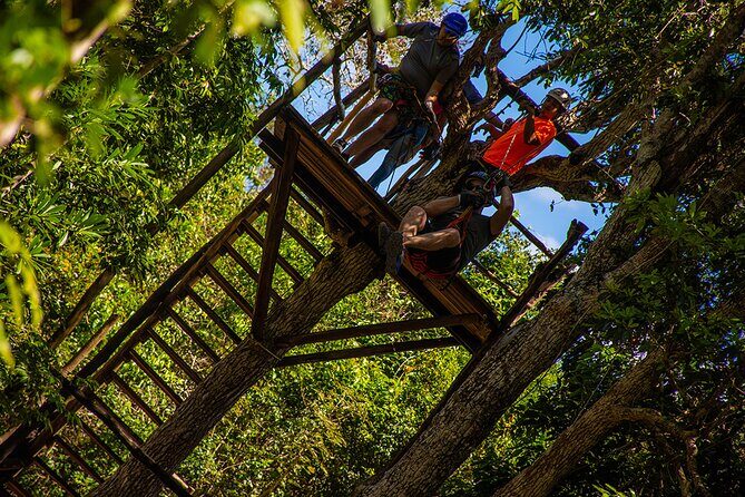 Shared ATV, Zipline, and Cenote Adventure from Playa del Carmen - ATV Amazing Adventure Park: Your First Step Into the Riviera Maya Jungle