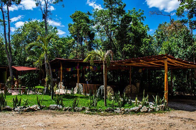 Shared ATV, Zipline, and Cenote Adventure from Playa del Carmen - Lunch and Beverages: Included Food That Actually Helps