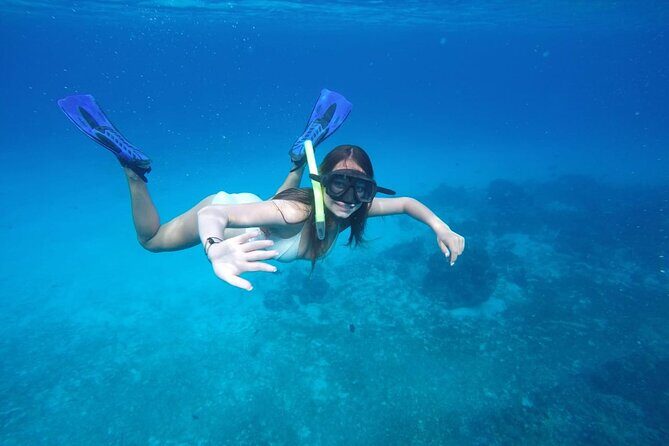 Shared Sky Snorkeling in Cozumel - Shared Sky Snorkeling in Cozumel: A 4-Hour Plan That Actually Uses Your Time