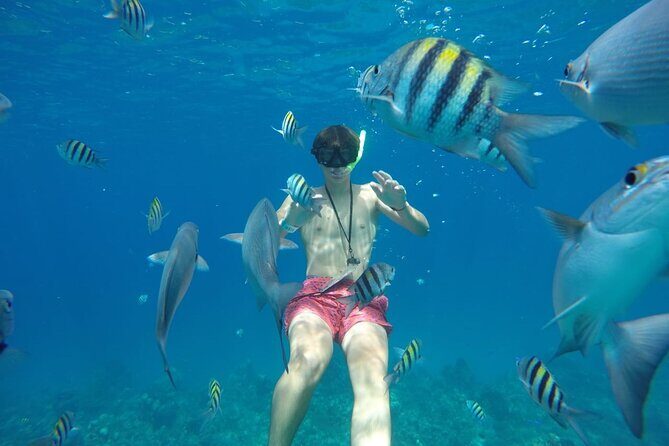 Shared Sky Snorkeling in Cozumel - Stop 2: Colombia Reef for a Second Reef With a Different Feel