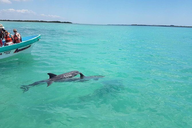 Sian Ka'an Biosphere Full Day Boat Tour with Lunch - The 45-minute snorkeling stop: what to expect in the water