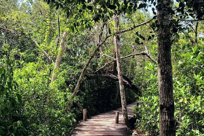 Sian Ka'an Biosphere Reserve Guided Tour - Price and value: why $250 can make sense for a private day