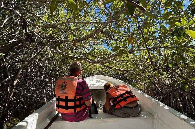 Sian Ka'an Biosphere Reserve Guided Tour - Pickup, timing, and how to plan your day in Tulum