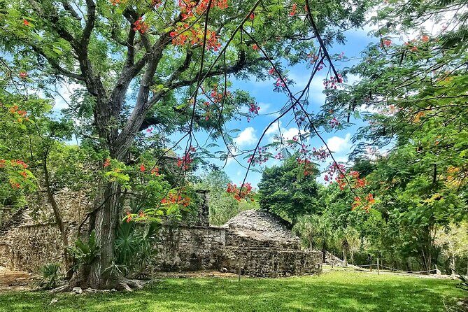 Sian Ka'an Biosphere Reserve Guided Tour - Tips to make Muyil and the lazy rivers day easier