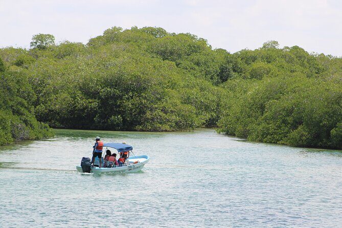 Sian Ka'an Classic - Guide Language and Delivery: English Is Offered, But Group Dynamics Count