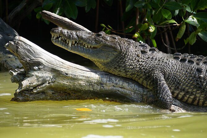 Sian Ka’an Sunset Private boat. - The biosphere reserve stop: what you should watch for