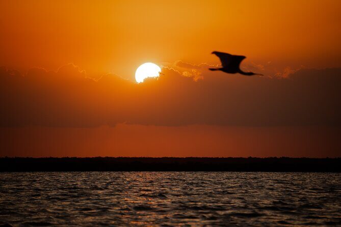 Sian Ka’an Sunset Private boat. - Who guides this cruise and what to expect from the crew