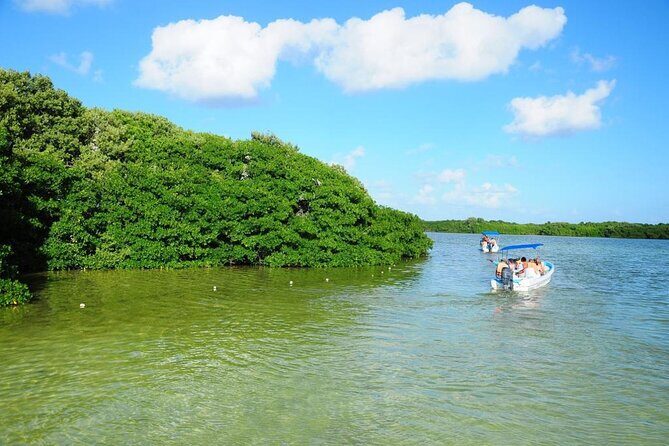 Sian Ka'an Trip from Playa del Carmen & Tulum - A full-day Sian Ka’an safari that starts before sunrise
