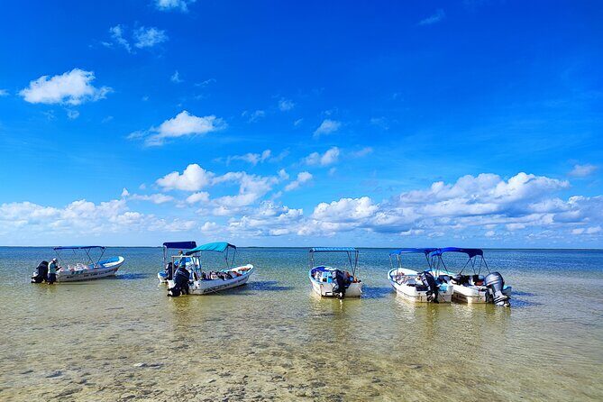 Sian Ka'an Trip from Playa del Carmen & Tulum - Stop 2: Punta Allen lunch and a short mini tour