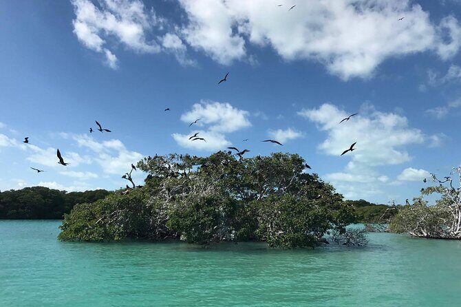 Sian Ka'an Trip from Playa del Carmen & Tulum - Guide quality can make or break a long day