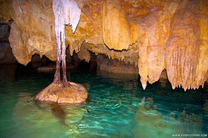 Silent Meditation in the Heart of the Cenote - Private groups - Step-by-step: what Sacred Cenote time is really like