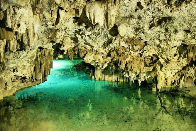 Silent Meditation in the Heart of the Cenote - Private groups - Food, snacks, and what to expect when you’re out for five hours