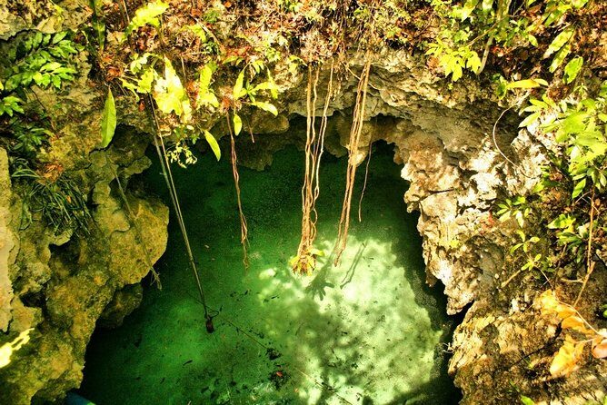 Silent Meditation in the Heart of the Cenote - Private groups - What to bring (and what to mentally prep) for a quiet cave day