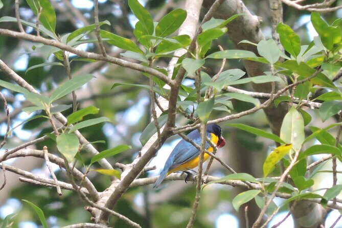 Small-Group Birdwatching Sian Kaan with professional guide - How fit and pace affect your comfort (and your birding)