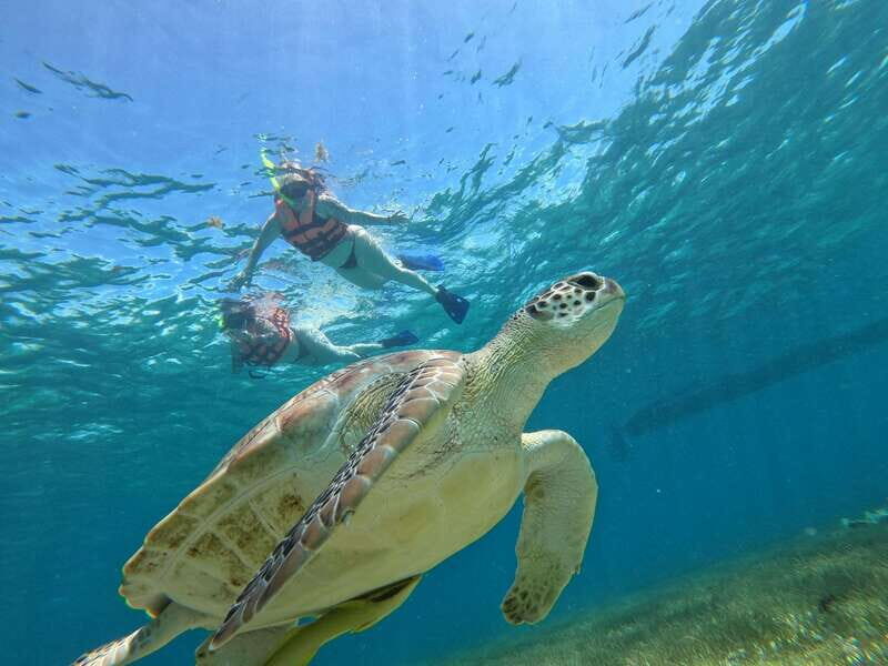 SNORKEL IN TULUM REEF, BOAT RIDE AND CALETA - Entering the Tulum Reef Zone for Real Snorkeling Time