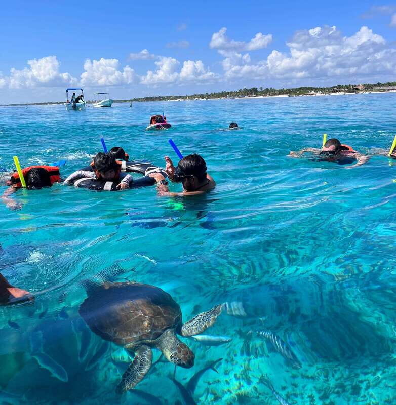 SNORKEL IN TULUM REEF, BOAT RIDE AND CALETA - Price and Value: What $46 Covers in Two Hours