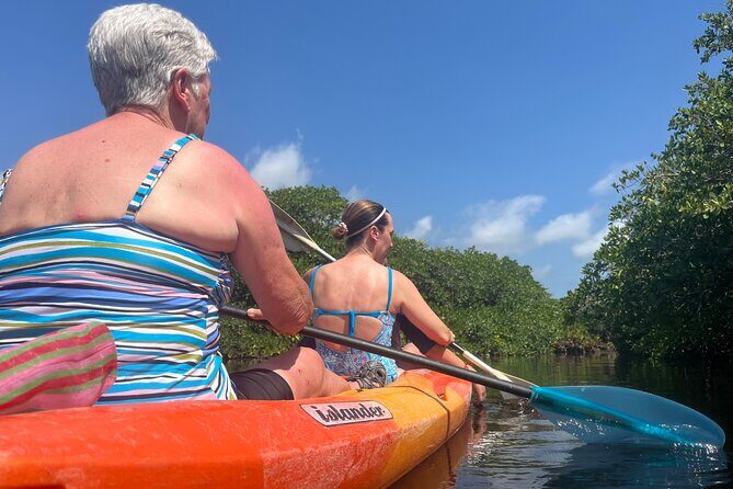 Snorkeling Activity in a Cenote Expedition - Gear, Comfort, and Safety: What You Actually Need to Know