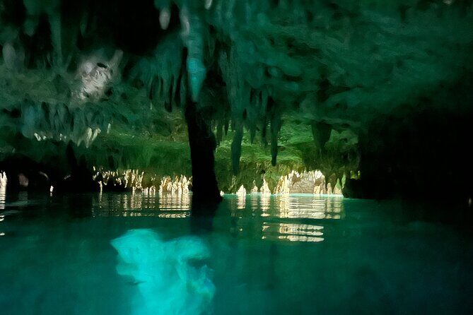 Snorkeling Activity in a Cenote Expedition - Price and Value: Is $148.87 Per Person Worth It?