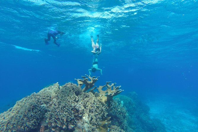 Snorkeling and Beach Club Access in Cozumel with Lunch - Quick Hits: What Makes This Excursion Worth Your Time