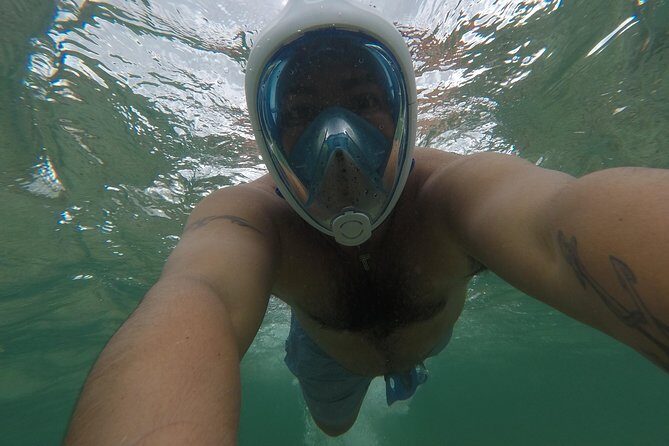 Snorkeling and Beach Club Access in Cozumel with Lunch - PalMar Snorkel Beach Club Meets the Real Cozumel Timing