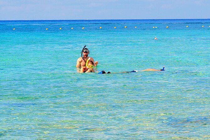 Snorkeling and Beach Club Access in Cozumel with Lunch - Price and Value: Why $20 Can Make Sense