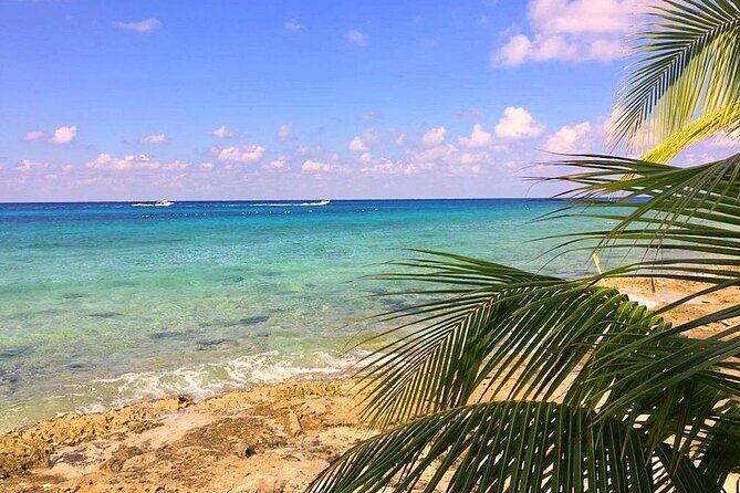 Snorkeling and Beach Club Access in Cozumel with Lunch - Who This Excursion Fits Best (and Who Might Pass)