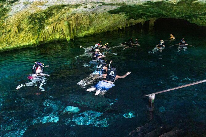 Snorkeling Experience with Turtles in Cenote in Riviera Maya - What the small-group size feels like in real life