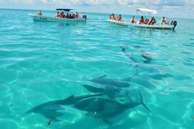 Snorkeling in Sian Ka'an - A Full-Day Sian Ka’an Snorkel From Playa del Carmen
