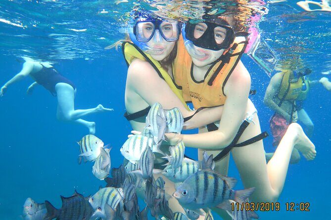 Snorkeling Trip at Cozumel Beach Club with Lunch Included - Reef Stop 1: Villa Blanca Wall and the underwater photo choice