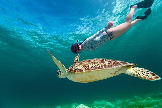 Snorkeling with Turtles and Cenotes - Snorkeling With Sea Turtles in Akumal: What You Actually Get