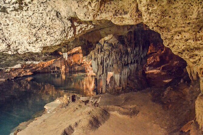 Snorkeling with Turtles and Cenotes - Price and Value: Is $89 a Good Deal Here?