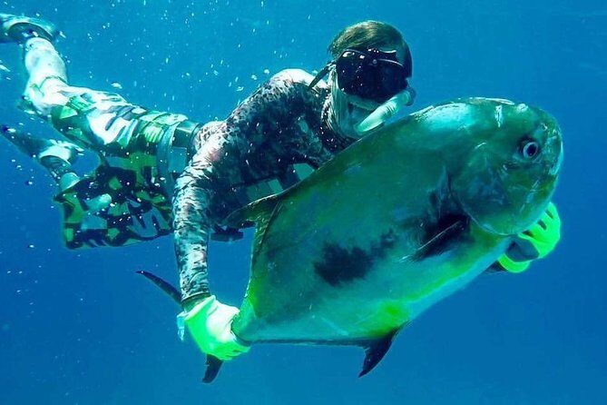 Spearfishing Playa del Carmen or Tulum - What you’re really paying for in Tulum spearfishing