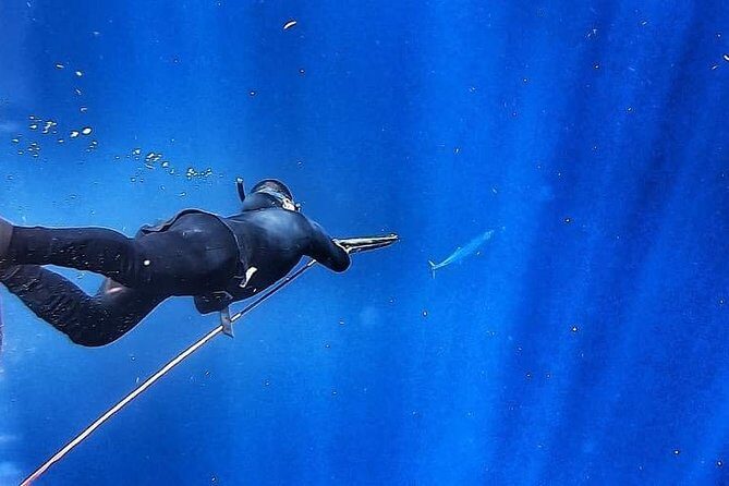 Spearfishing Playa del Carmen or Tulum - Stop 1: Riviera Maya spots and the reality of visibility