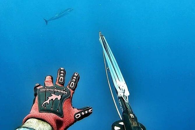 Spearfishing Playa del Carmen or Tulum - The guide experience: what Diego’s story tells you about instruction