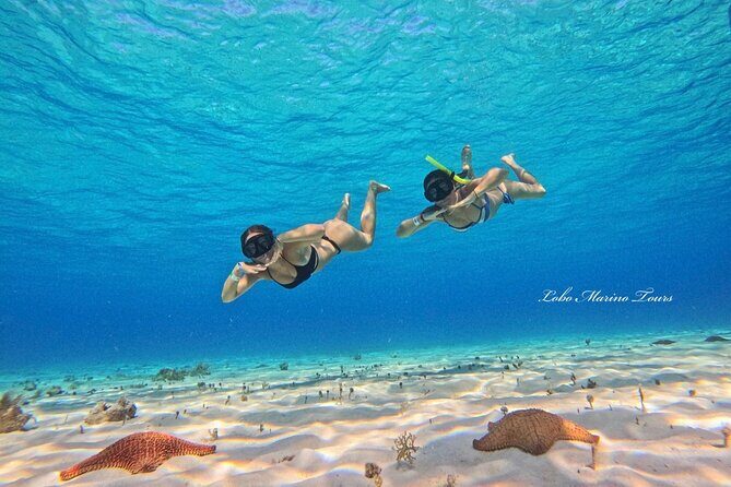 Star and Turtle Sanctuary Snorkeling Tour in Cozumel - Food on Board: Snacks, Ceviche, and a Note on Stomachs